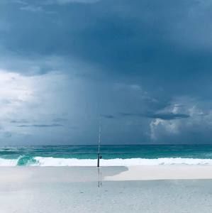 Meet your Posher, Shari